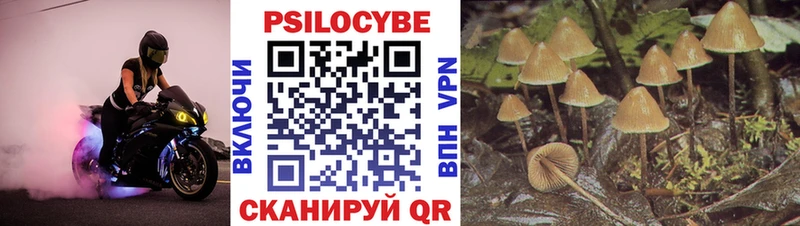 где купить наркоту Ковылкино darknet какой сайт Галлюциногенные грибы Magic Shrooms